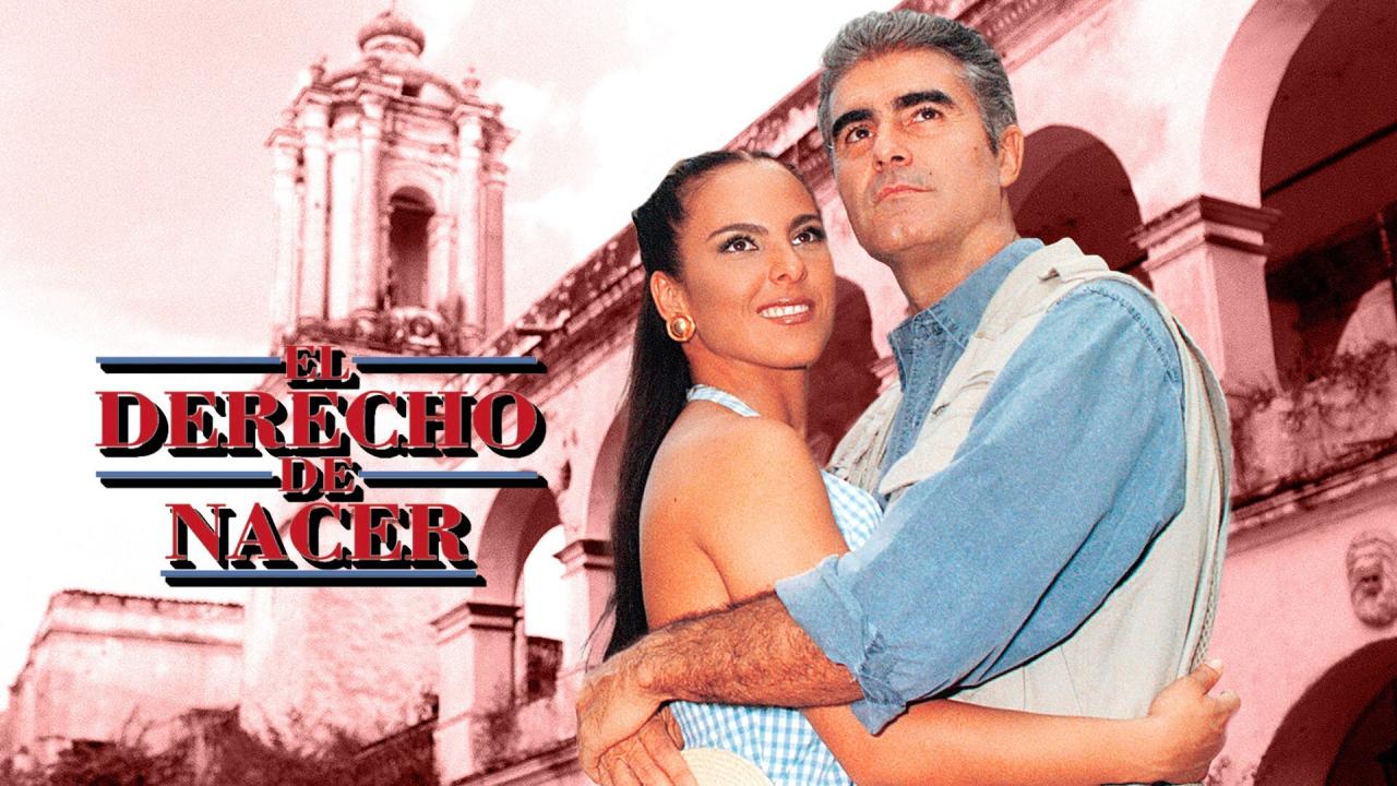 El Derecho De Nacer 2001